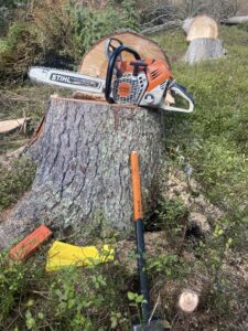 Husqvarna Aspire™ P5-P4A с батерия и зарядно - Image 3